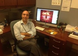UVa Research Could Bring New Hope to Melanoma Patients