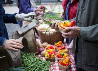 UVa Sponsored Farmers Market Accepts Plus Dollars
