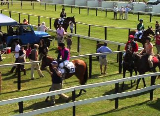 The Fate of Foxfield Remains in Question