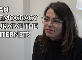 Democracy in the Digital Age