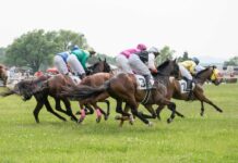 Off to the (Foxfield) Races | Kelsey Cox